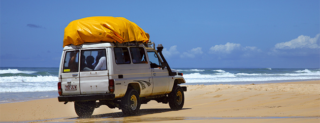 LISA-Sprachreisen-Englisch-Brisbane-Australien-Fraser-Island-Ausflug-Strand-Sandinsel-Meer-Regenwald