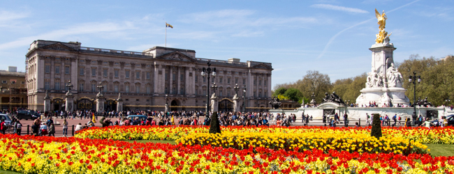 LISA-Sprachreisen-Erwachsene-Englisch-England-London-Beckenham-Sightseeing-Buckingham-Palace-Fruehling