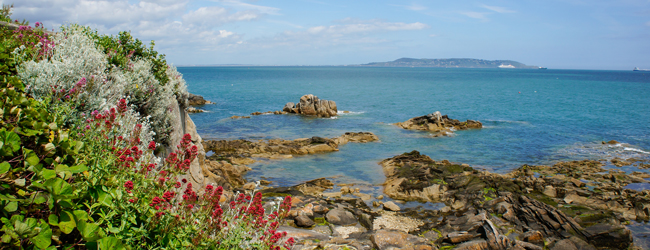 LISA-Sprachreisen-Erwachsene-Englisch-Irland-Dublin-By-The-Sea-Dun-Laoghaire-Bucht-Meer-Ostkueste