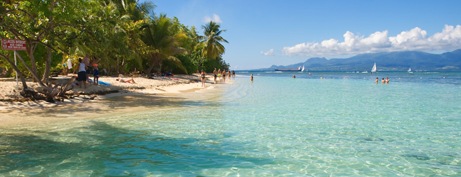 Klarer, türkisfarbener Ozean und Palmen an einem karibischen Strand während einer Sprachreise in Le Gosier