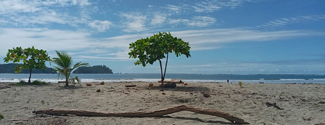LISA-Sprachreisen-Erwachsene-Spanisch-Costa-Rica-Samara-Beach-Meer-Strand-Sand-Palme