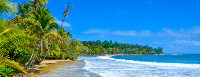 LISA-Sprachreisen-Erwachsene-Spanisch-Panama-Bocas-del-Toro-Meer-Strand-Palmen-Wellen