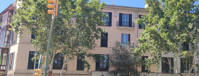 Gelbes Gebäude mit Bäumen, braunen Fensterläden und Balkonen - die LISA! Sprachschule in Mallorca