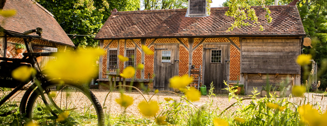 LISA-Sprachreisen-Schueler-Englisch-England-Petersfield-Bedales-School-Cottage-Blumen