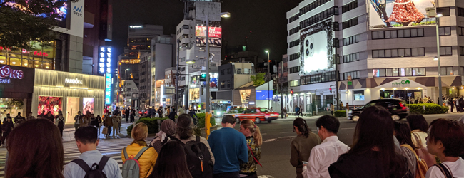 LISA-Sprachreisen-Schueler-Young-Adults-Japanisch-Japan-Tokio-Abend-Kreuzung-Menschen