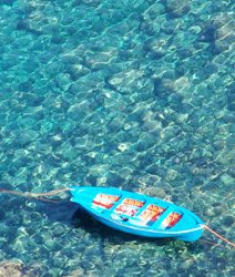 Tropea