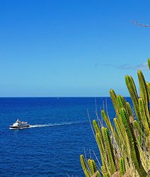 Gran Canaria – Las Palmas